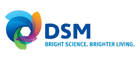˹DSM