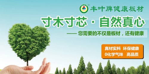 探索豐葉品牌的奧秘，向?qū)I(yè)致敬