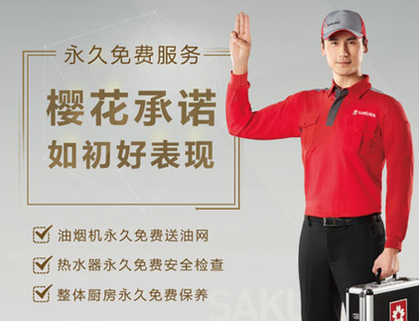 櫻花熱水器：一臺卓越品牌 一鍵式解后顧之憂