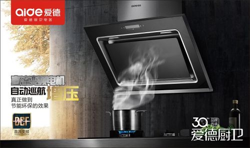 愛德廚衛(wèi)專注廚房30年 榮獲“中國十大抽油煙機(jī)品牌”