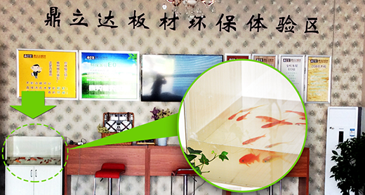 鼎立達(dá)板材：品牌加盟 堅持創(chuàng)新