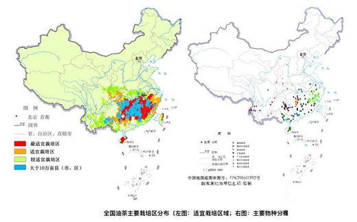 中國(guó)油茶產(chǎn)業(yè)快速發(fā)展 預(yù)計(jì)2035年綜合產(chǎn)值超萬(wàn)億元