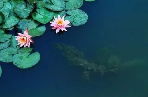 (qun)_(d)ˮ | ȥҊʵ