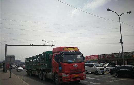 光明照亮生活，路燈照亮前方的道路
