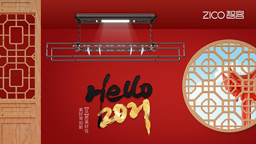 ZICOǿͣԶ㟒ģ^2020