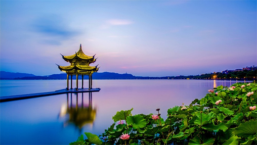 㽭11(sh)(j)һR(dng)dI(lng)Ȝͻưك|