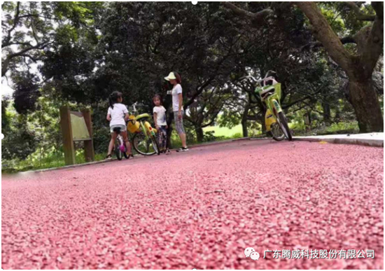 騰威科技：彩色路面改色磨耗層 S-17系列