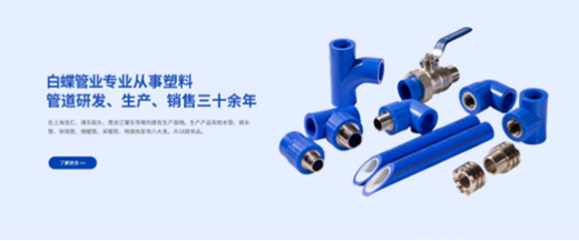 重磅來襲!本年度PPR管十大品牌第五位——上海白蝶