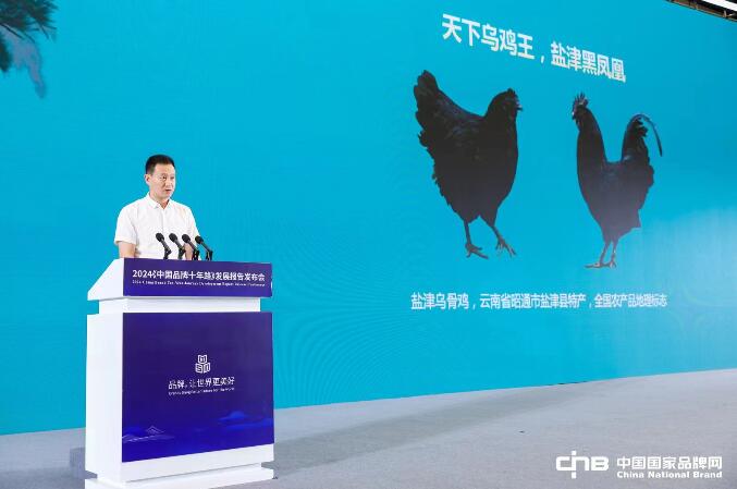 鹽津?yàn)豕请u：天下烏雞王，鹽津黑鳳凰